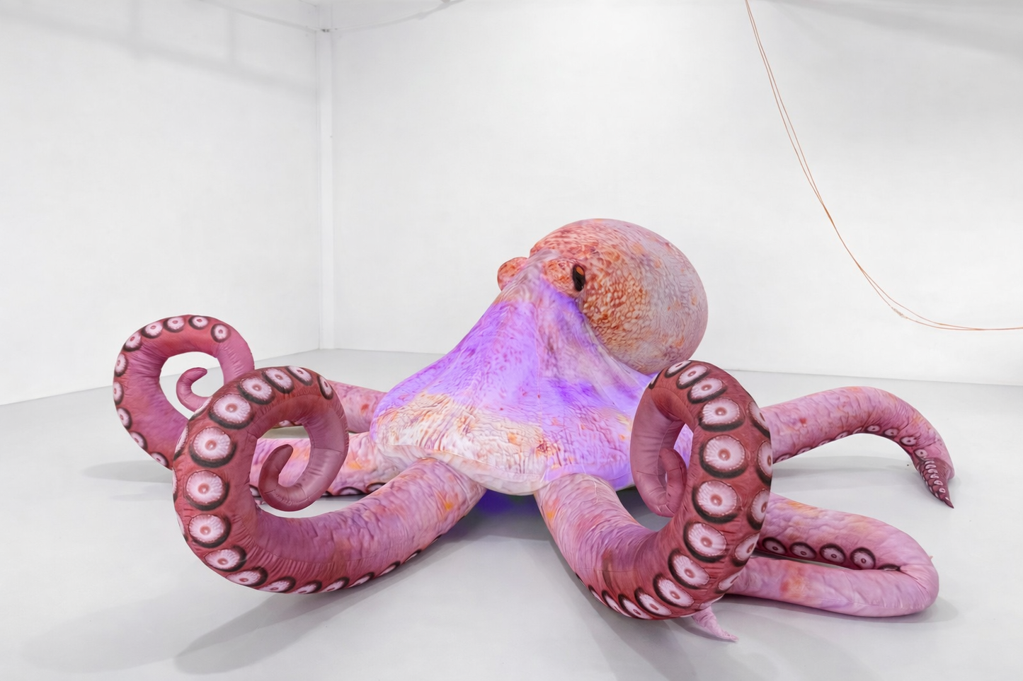 Pieuvre Géante Gonflable